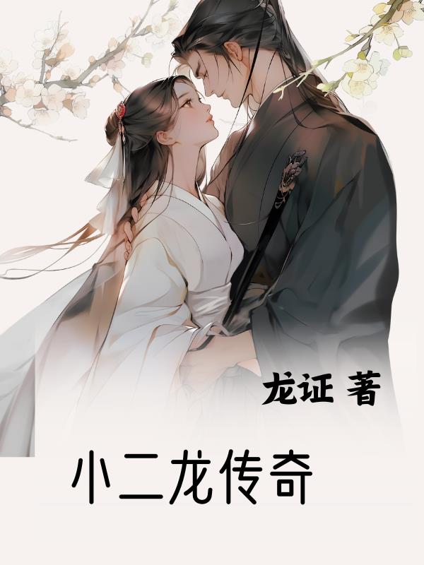 小二龙传奇小二龙传奇