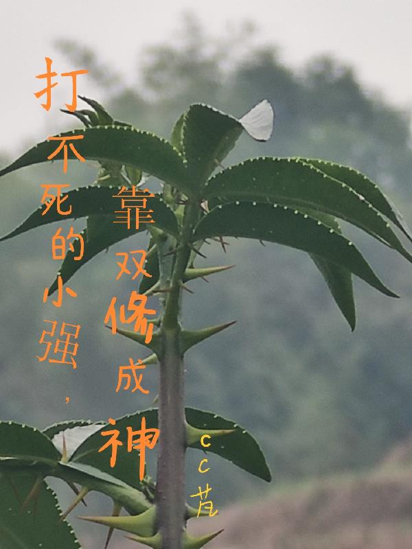 打不死的小强，靠双修成神打不死的小强，靠双修成神